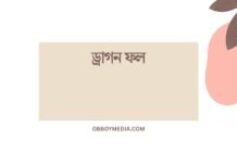 ড্রাগন ফল: এক নতুন ধাপে আপনার স্বাস্থ্য ড্রাগন ফল
