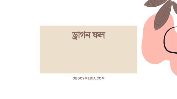 ড্রাগন ফল ড্রাগন ফল