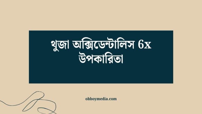 থুজা অক্সিডেন্টালিস 6x উপকারিতা