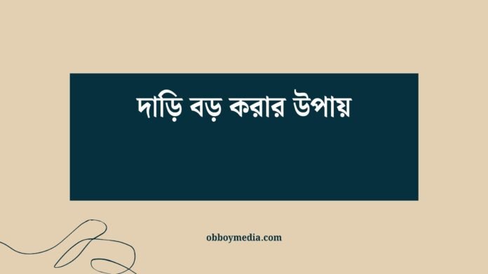 দাড়ি বড় করার উপায় দাড়ি বড় করার উপায়