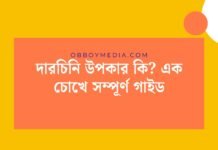 দারচিনি উপকার কি_ এক চোখে সম্পূর্ণ গাইড
