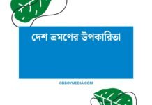 দেশ ভ্রমণের উপকারিতা