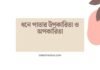 ধনে পাতার উপকারিতা ও অপকারিতা: এক পাতায় স্বাস্থ্য, রোগ ও সতর্কতা ধনে পাতার উপকারিতা ও অপকারিতা