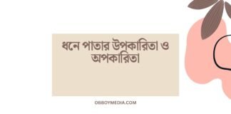 ধনে পাতার উপকারিতা ও অপকারিতা: এক নজরে সম্পূর্ণ গাইড ধনে পাতার উপকারিতা ও অপকারিতা