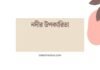 নদীর উপকারিতা