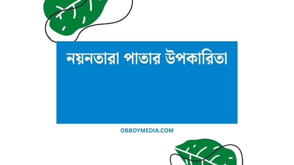 নয়নতারা পাতার উপকারিতা