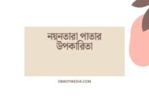 নয়নতারা পাতার উপকারিতা