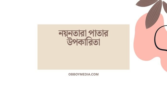 নয়নতারা পাতার উপকারিতা
