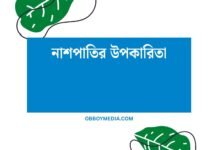 নাশপাতির উপকারিতা: একটি পুষ্টিকর খাবারের গুপ্ত শক্তি নাশপাতির উপকারিতা