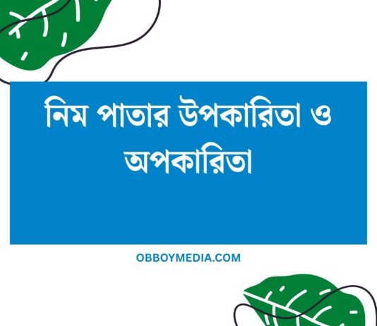 নিম পাতার উপকারিতা ও অপকারিতা: এক সম্পূর্ণ গাইড নিম পাতার উপকারিতা ও অপকারিতা