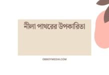 নীলা পাথরের উপকারিতা: স্বাস্থ্য, চর্ম ও আধ্যাত্মিক স্বাস্থ্যের জন্য একটি অবিশ্বাস্য উপহার নীলা পাথরের উপকারিতা