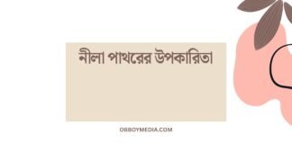 নীলা পাথরের উপকারিতা