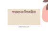 পদ্মাসনের উপকারিতা: শরীর ও মনের স্বাস্থ্যের জন্য এক অপরিহার্য অসন পদ্মাসনের উপকারিতা