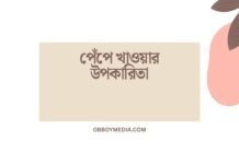 পেঁপে খাওয়ার উপকারিতা: একটি স্বাস্থ্যকর মেজাজী খাবারের গুপ্ত গুণ পেঁপে খাওয়ার উপকারিতা
