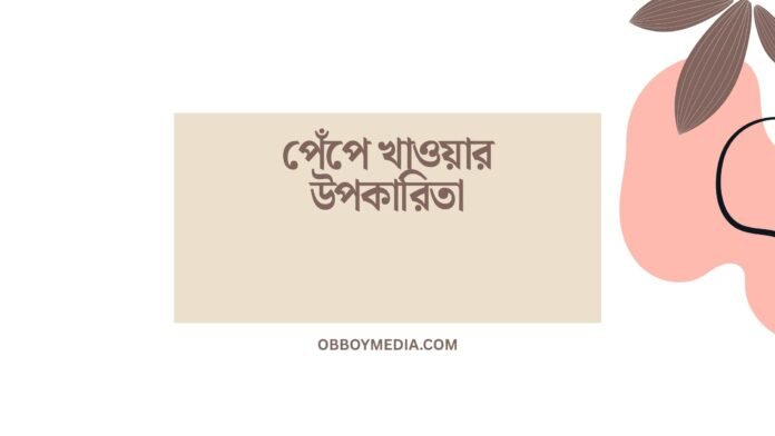 পেঁপে খাওয়ার উপকারিতা