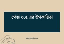 পেজ ০.৫ এর উপকারিতা: কেন এটি আপনার ডিজিটাল স্ট্র্যাটেজির গেম-চেঞ্জার? পেজ ০৫ এর উপকারিতা