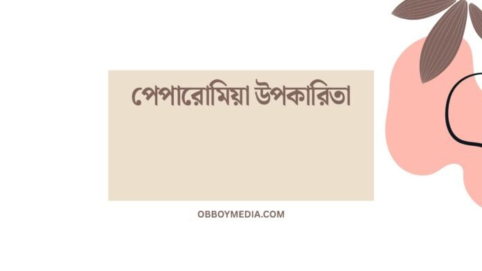 পেপারোমিয়া উপকারিতা পেপারোমিয়া উপকারিতা
