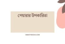 পেয়ারার উপকারিতা