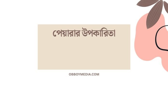 পেয়ারার উপকারিতা