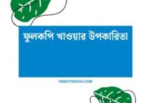 ফুলকপি খাওয়ার উপকারিতা: স্বাস্থ্যকর এবং মজাদার খাবারের গুণগত মূল্য ফুলকপি খাওয়ার উপকারিতা
