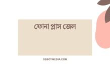 ফোনা প্লাস জেল: আধুনিক দেশের সার্থক উন্নয়ন পথের একটি গুরুত্বপূর্ণ মূলতল ফোনা প্লাস জেল