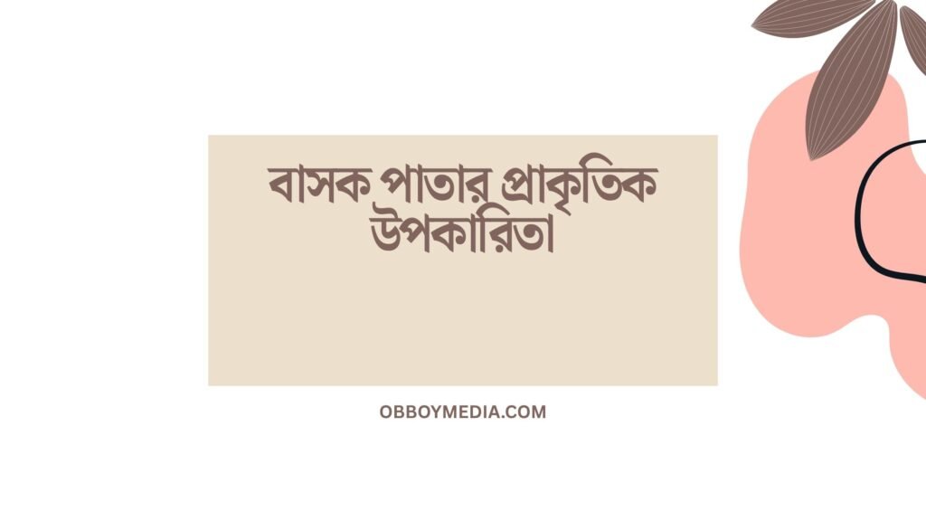 বাসক পাতার প্রাকৃতিক উপকারিতা