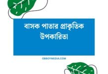 বাসক পাতার প্রাকৃতিক উপকারিতা