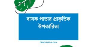 বাসক পাতার প্রাকৃতিক উপকারিতা