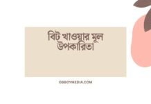 বিট খাওয়ার মূল উপকারিতা
