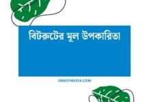 বিটরুটের মূল উপকারিতা