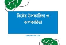 বিটের উপকারিতা ও অপকারিতা