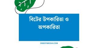 বিটের উপকারিতা ও অপকারিতা