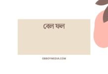 বেল ফল