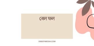 বেল ফল