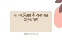 ব্যাকটেরিয়া কী এবং এর প্রকৃত গুণ
