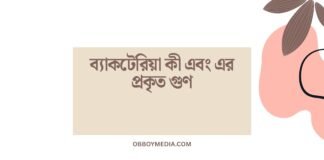 ব্যাকটেরিয়া কী এবং এর প্রকৃত গুণ