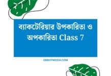 ব্যাকটেরিয়ার উপকারিতা ও অপকারিতা Class 7