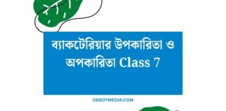 ব্যাকটেরিয়ার উপকারিতা ও অপকারিতা Class 7