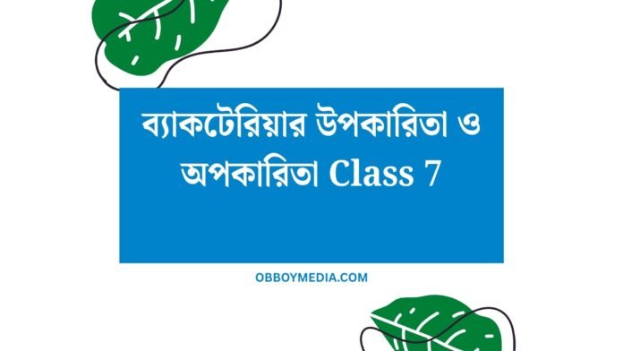 ব্যাকটেরিয়ার উপকারিতা ও অপকারিতা Class 7