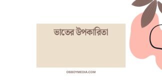 ভাতের উপকারিতা: আমাদের শরীরের প্রতিপাদক ভাতের উপকারিতা