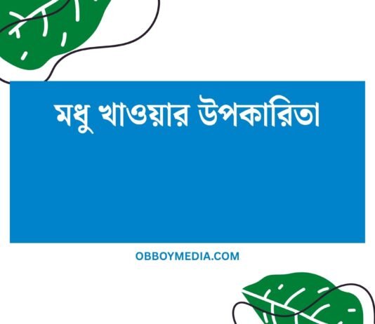 মধু খাওয়ার উপকারিতা: প্রকৃতির এই মিষ্টি চায়ে আপনার স্বাস্থ্যের গুণগান মধু খাওয়ার উপকারিতা
