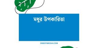 মধুর উপকারিতা: প্রকৃতির এই মিষ্টি উপহারে লুকিয়ে আছে অসংখ্য স্বাস্থ্যকর রহস্য মধুর উপকারিতা