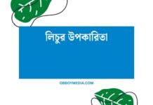 লিচুর উপকারিতা