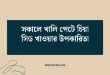 সকালে খালি পেটে চিয়া সিড খাওয়ার উপকারিতা