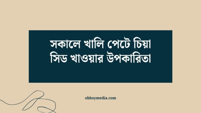 সকালে খালি পেটে চিয়া সিড খাওয়ার উপকারিতা