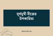 সূর্যমুখী বীজের উপকারিতা