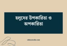 হলুদের উপকারিতা ও অপকারিতা