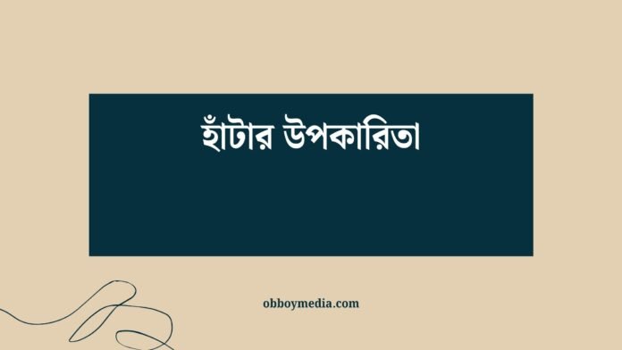 হাঁটার উপকারিতা হাঁটার উপকারিতা