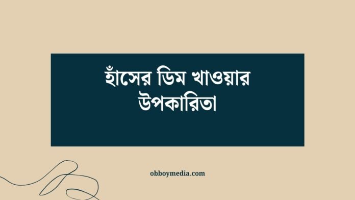 হাঁসের ডিম খাওয়ার উপকারিতা হাঁসের ডিম খাওয়ার উপকারিতা