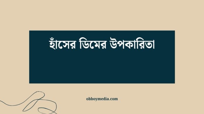 হাঁসের ডিমের উপকারিতা